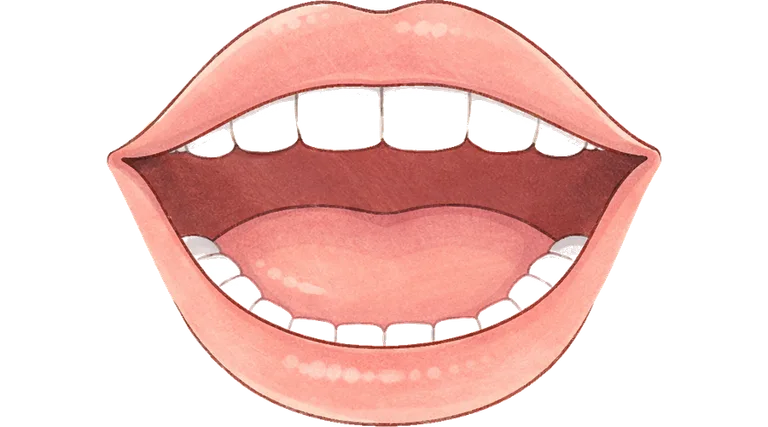 mouth