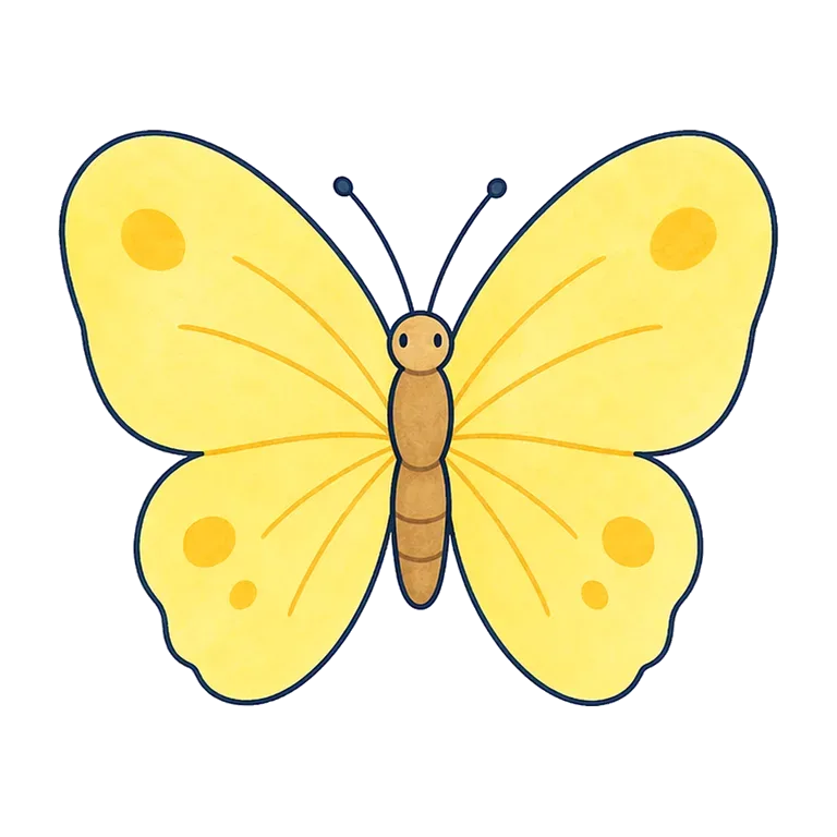 butterfly