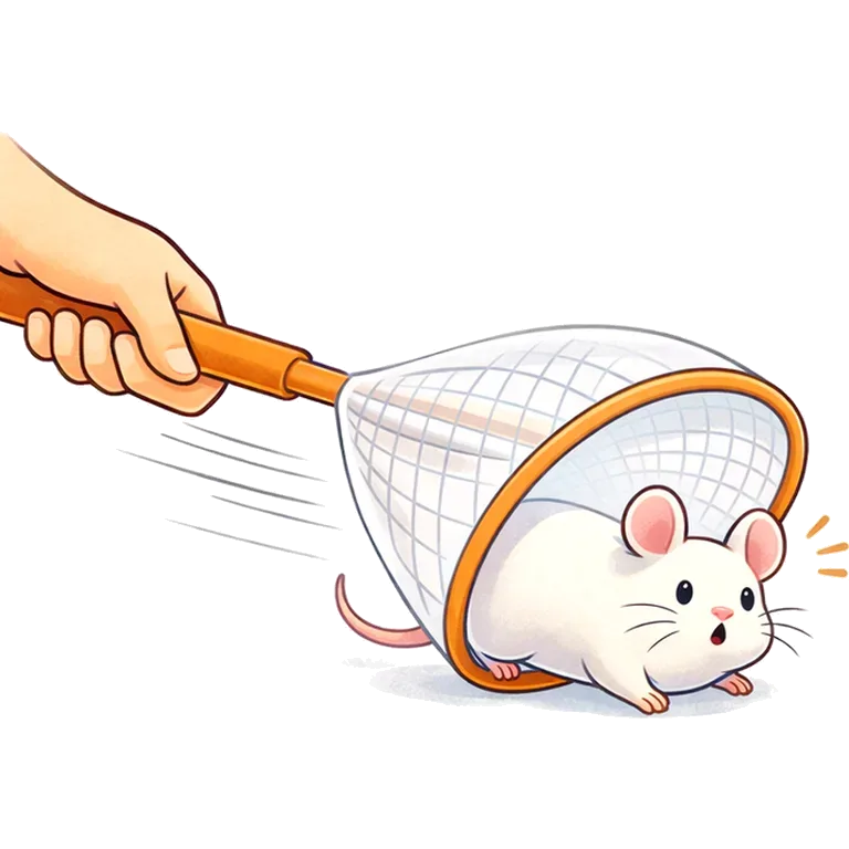 to catch