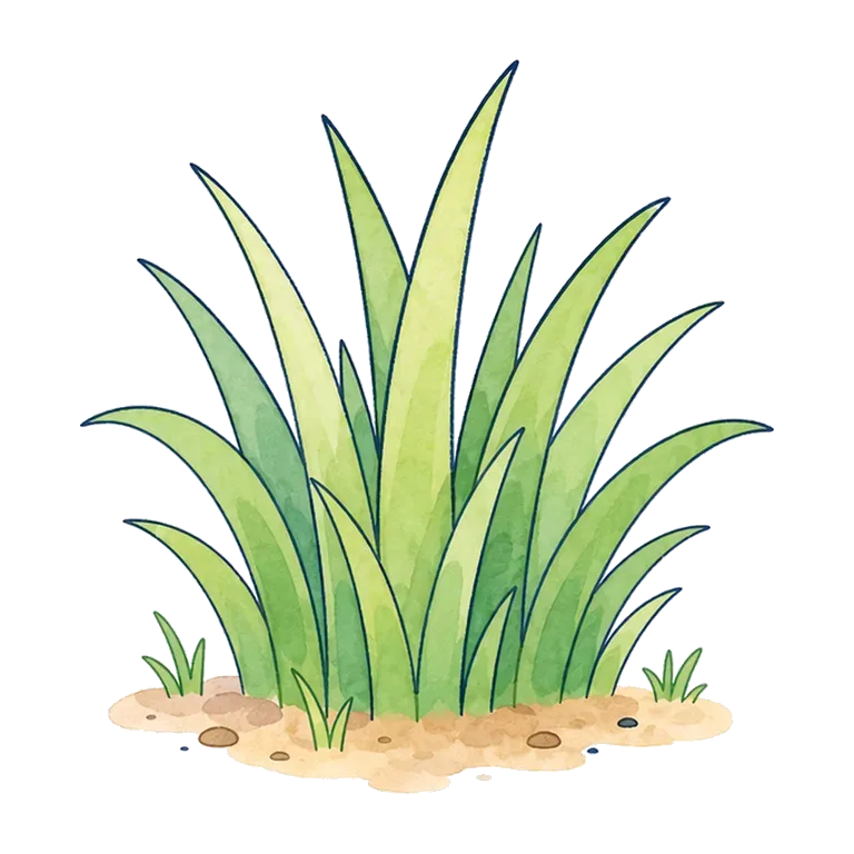 grass