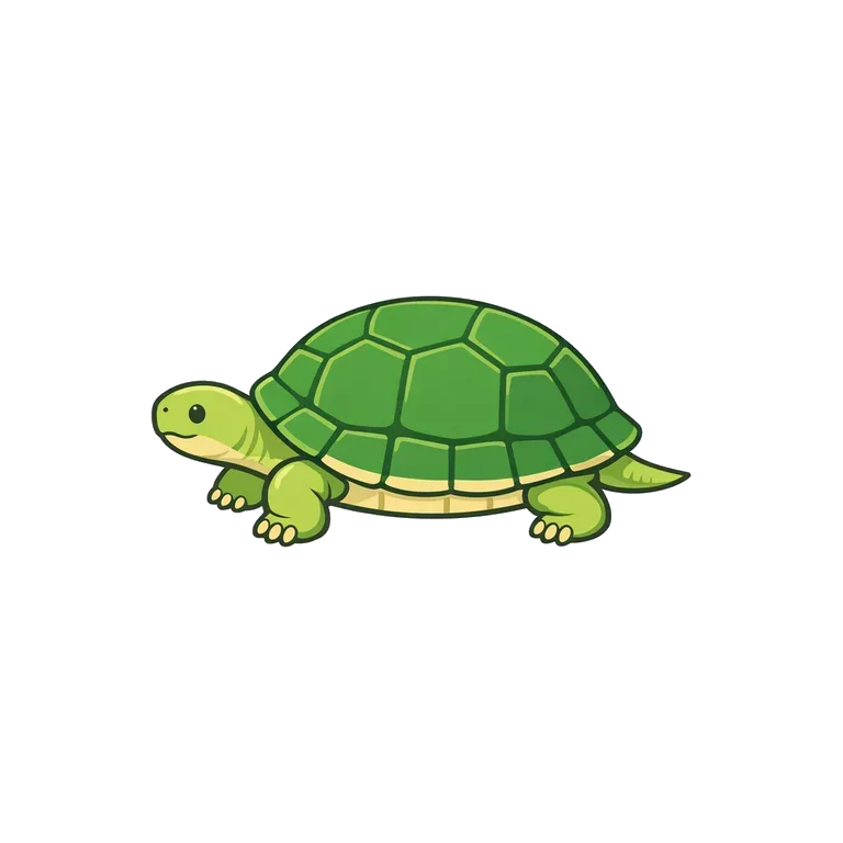 turtle