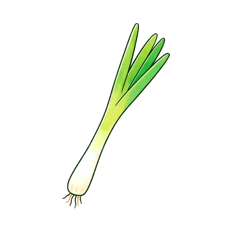 green onion