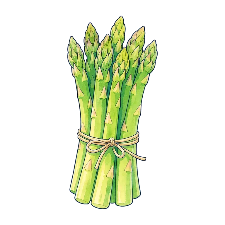 asparagus