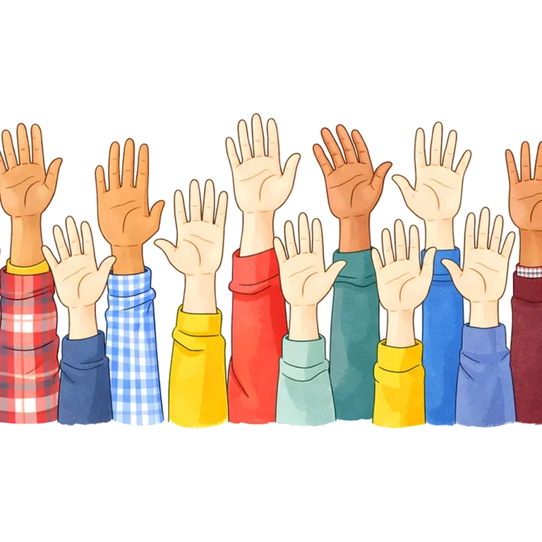 participation
