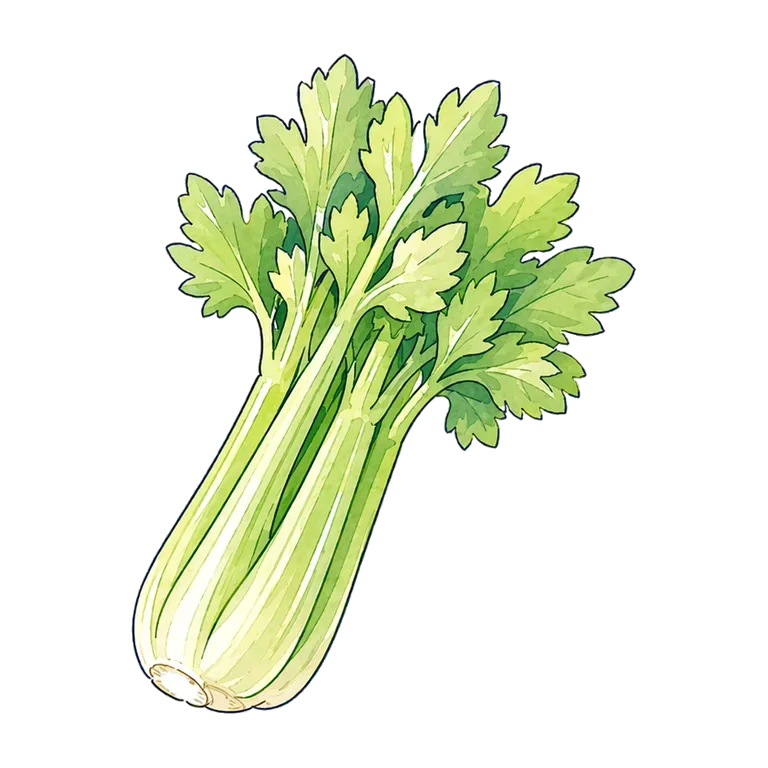 celery