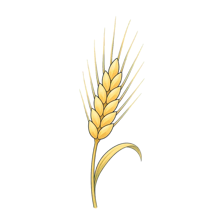 barley