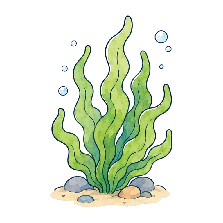 seagrass