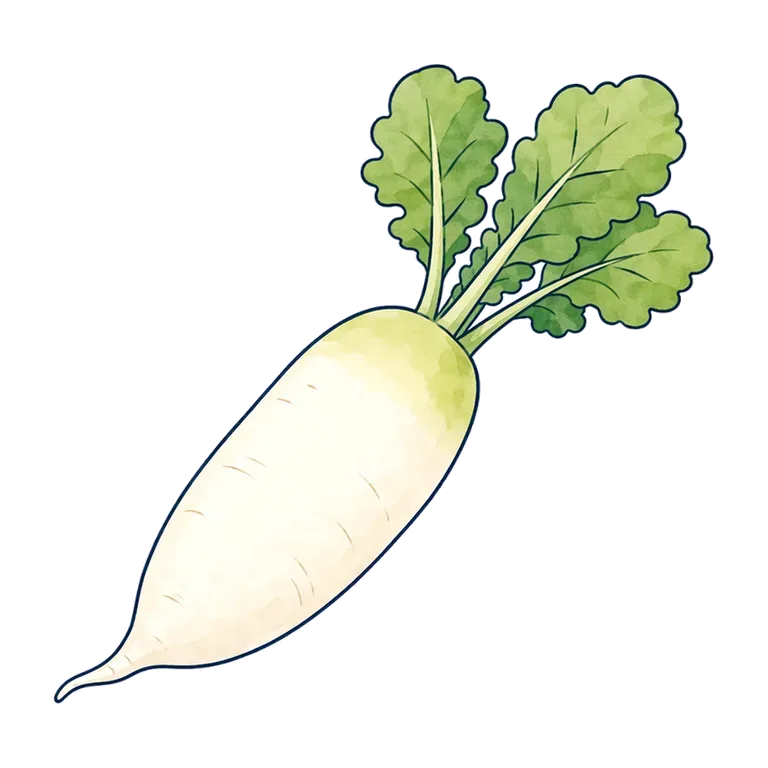 radish