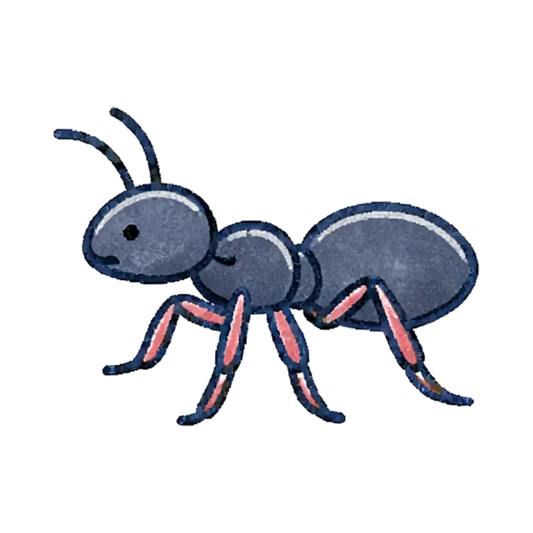 ant