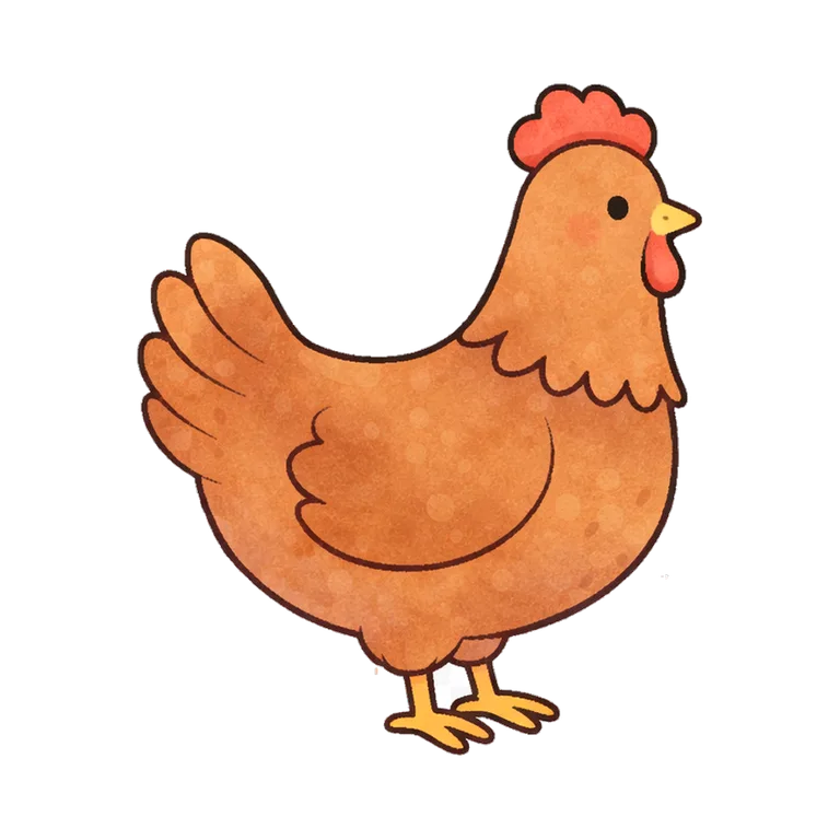chicken