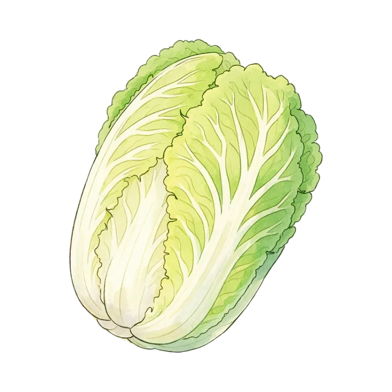 cabbage
