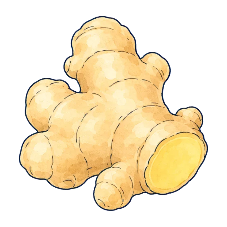 ginger root