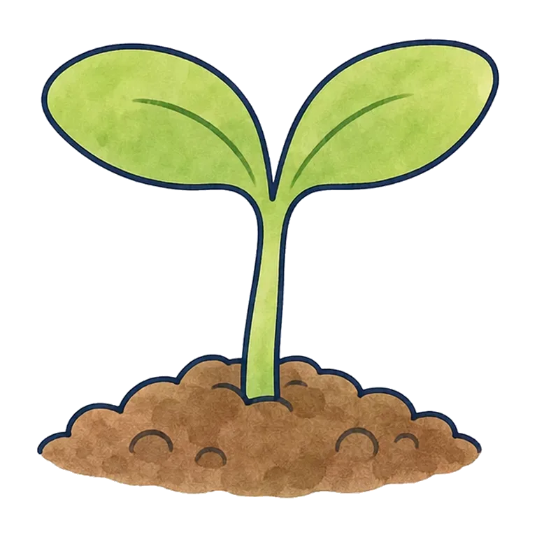 sprout