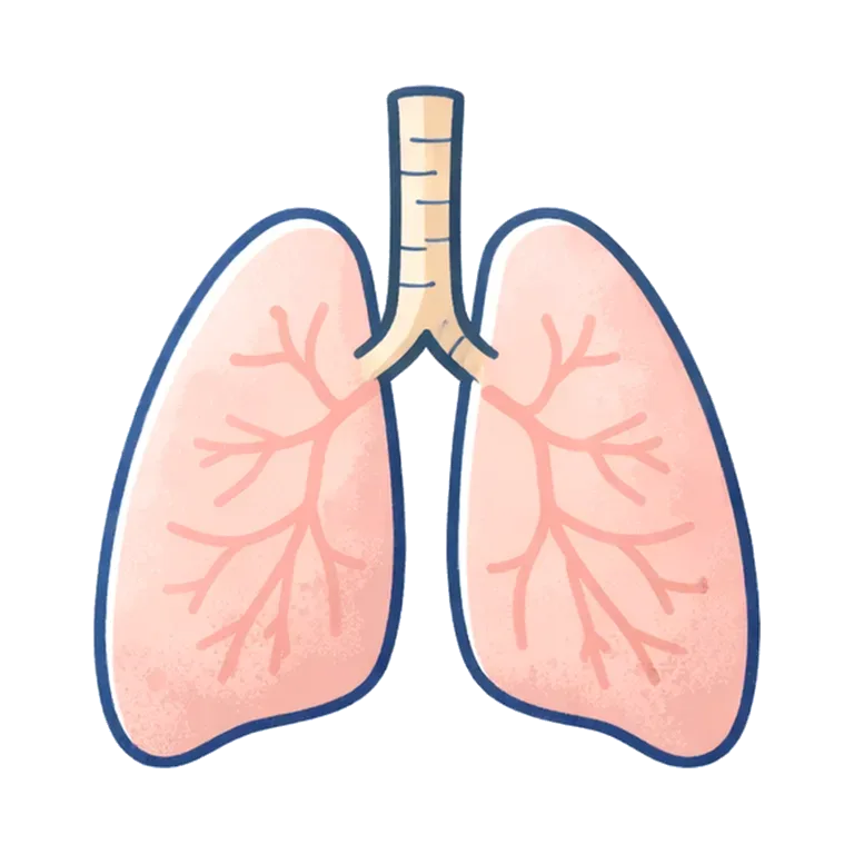 lung